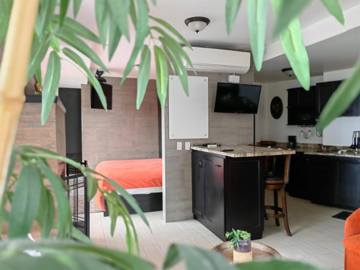 提华纳 Casa Cacho酒店 外观 照片