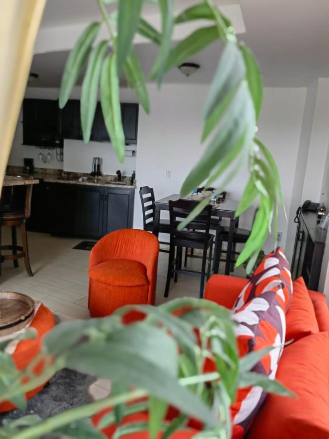 提华纳 Casa Cacho酒店 外观 照片